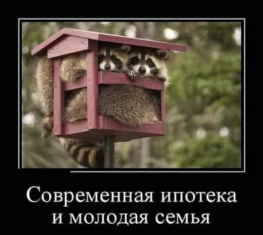 современная ипотека И молодая семья