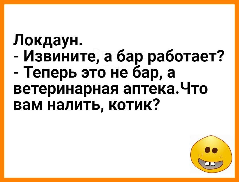 Локдаун Извините а бар работает Теперь это не бар а ветеринарная аптекаЧто вам НдЛИТЬ КОТИК