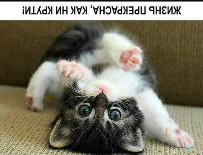 іИіАсШ ИН УНЭЧсЫЗсШ ЧНЕИЖ
