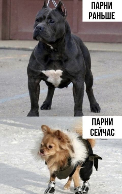 ПАРНИ РАНЬШЕ
