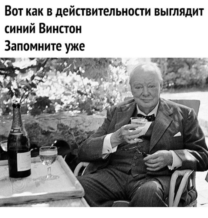 Вот как в действительности выглядит синий Винстон Запомните уже