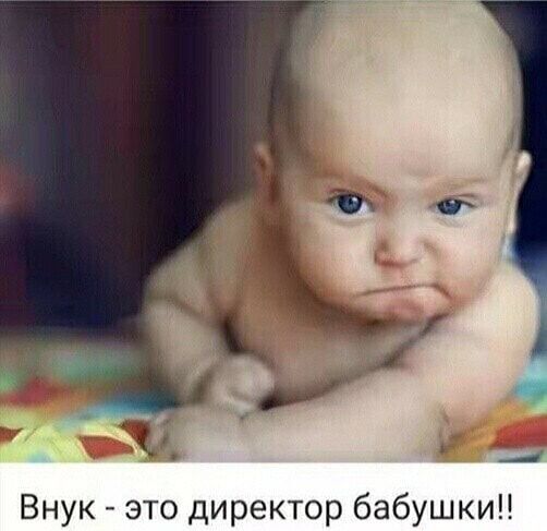 Внук это директор бабушкин