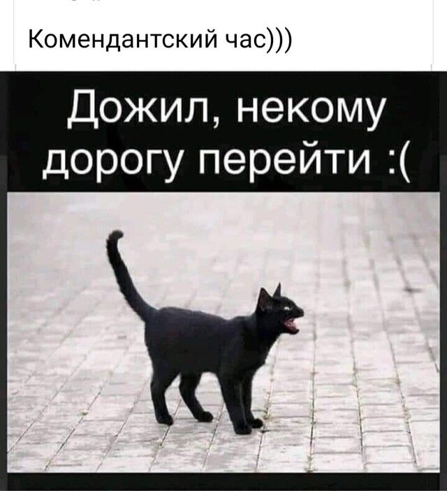 Комендантский час Дожил некому дорогу перейти