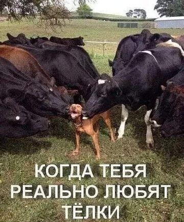 К ;1  когда тебя