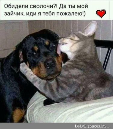 обидели сволочи Да ты мой зайчик иди я тебя пожалею гг ФиЦБ