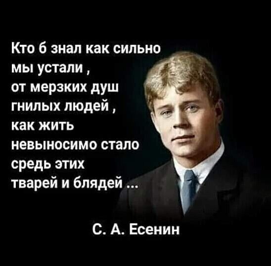 Кто 6 знал как сильно мы устали от мерзких душ гнилых людей как жить невыносимо стало средь этих тварей и блядей С А Есенин