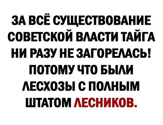 зА всЁ сущвствовднив совпской вмсти ТАЙГА ни РАЗУ нв здгорвмсы потому что выди АЕсхозы с ПОАНЫМ штАтом АЕсников