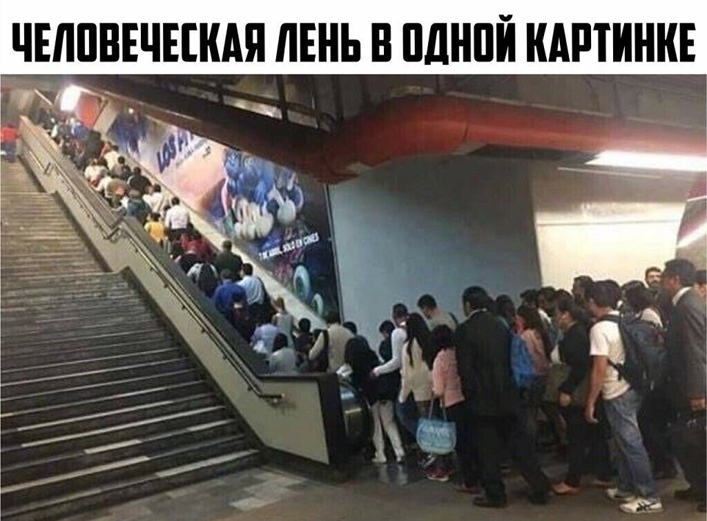 ЧЕЛПВЕЧЕШАЯ ЛЕНЬ В ПДНПЙ КАРТИНКЕ