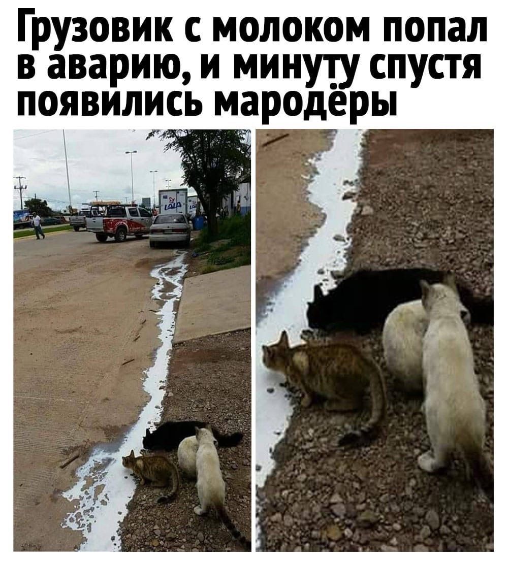 Грузовик молоком попал в аварию и минуту спустя появились мародеры