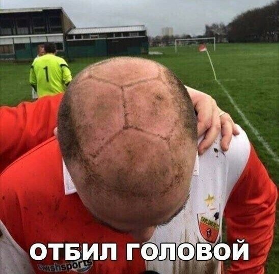 ЁЩЁМП гад