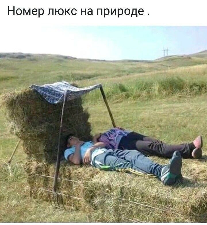 Номер люкс на природе