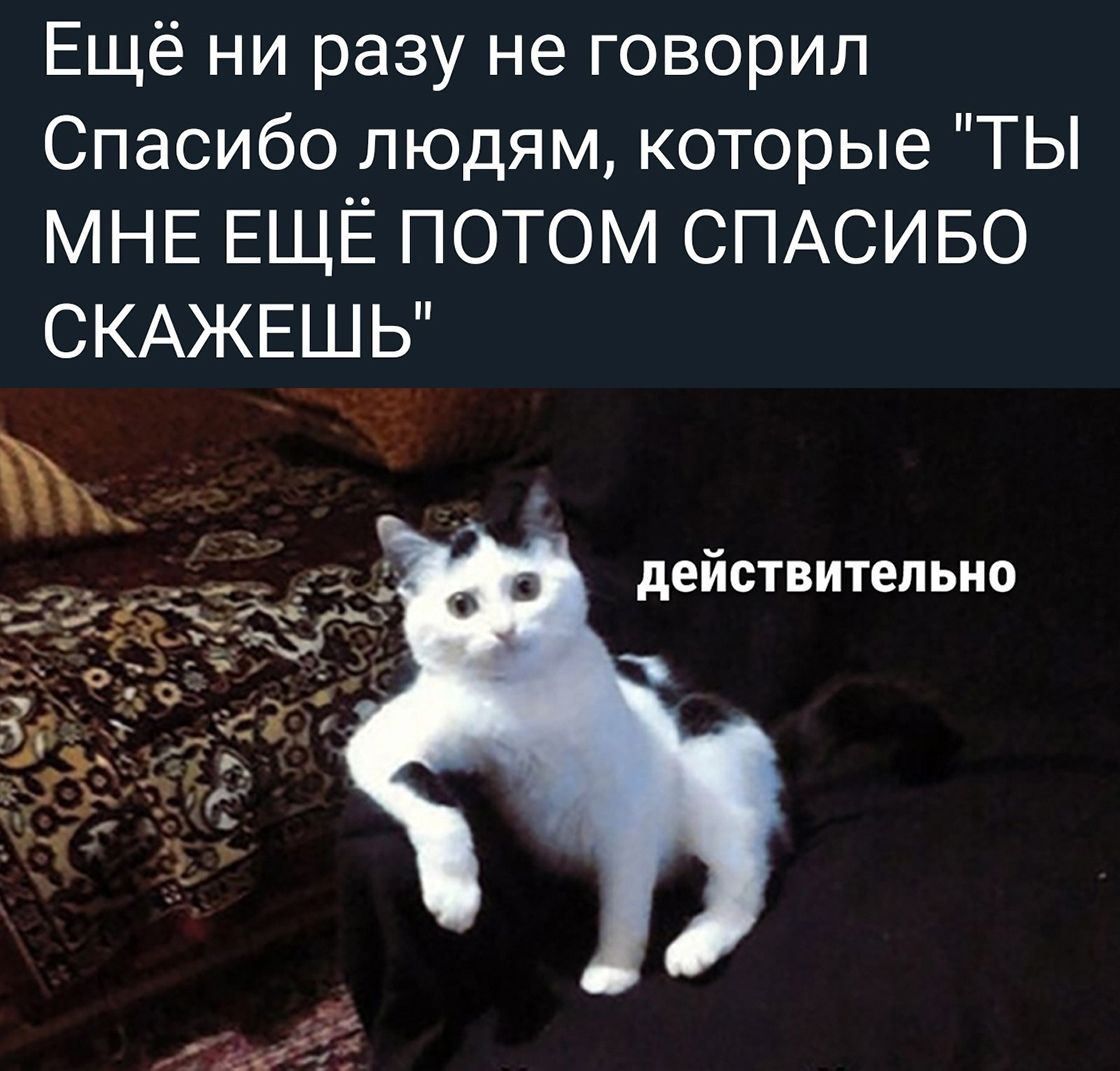 Ещё ни разу не говорил Спасибо людям которые ТЫ МНЕ ЕЩЁ ПОТОМ СПАСИБО СКАЖЕШЬ действительно