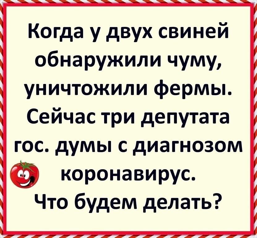Когда у двух свиней обнаружили чуму уничтожили фермы Сейчас три депутата гос думы с диагнозом коронавирус Что будем делать