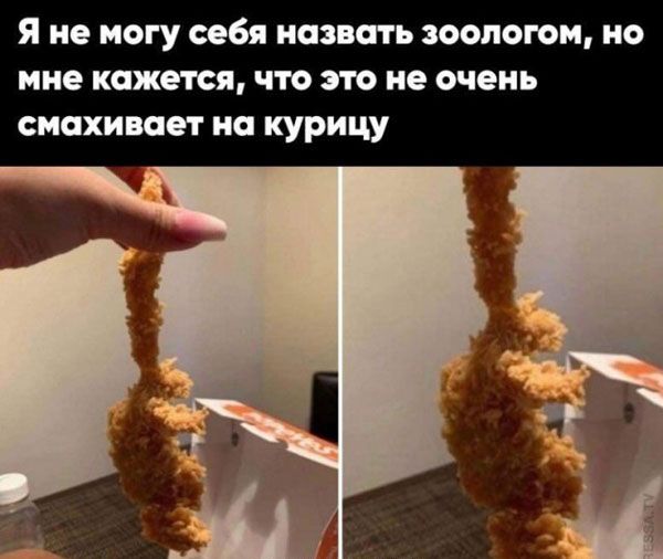 Я не могу себя назвать эоопогом но мне кажется что это не очень смахивает на курицу