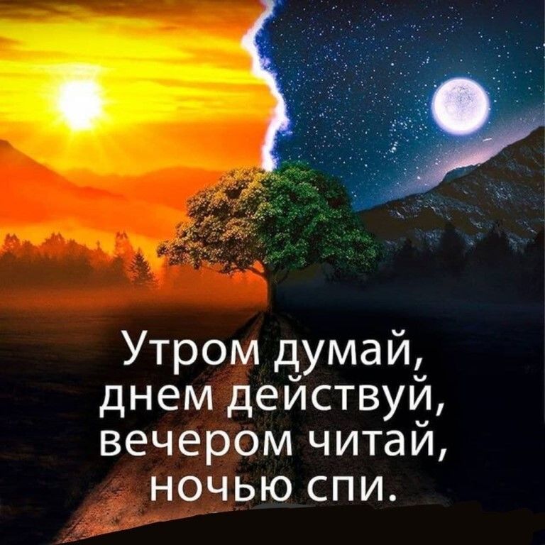 Утром думай днем действуй вечером читай ночью спи