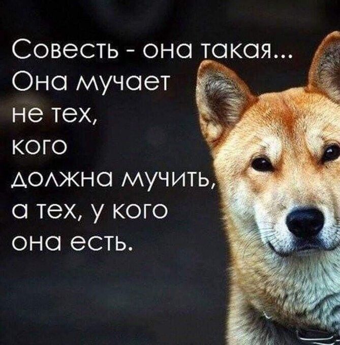 Совесть она такая Оно мучает не тех кого АОАЖНО мучить о тех у кого она есть