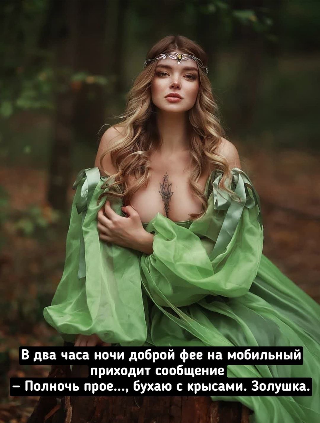 0 ь Ё _ В два часа ночи доброй фее на мобильный приходит сообщение Полночь прав бухаю крысами Золушка Ё3