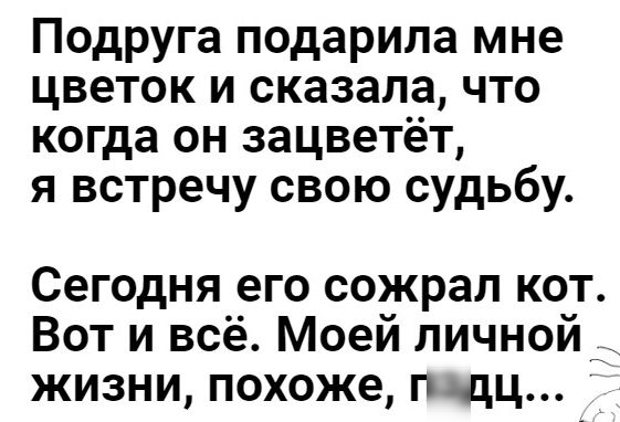 Подруга подарила мне цветок и сказала что когда он зацветёт я встречу свою судьбу Сегодня его сожрал кот Вот и всё Моеи личноид жизни похоже гидц