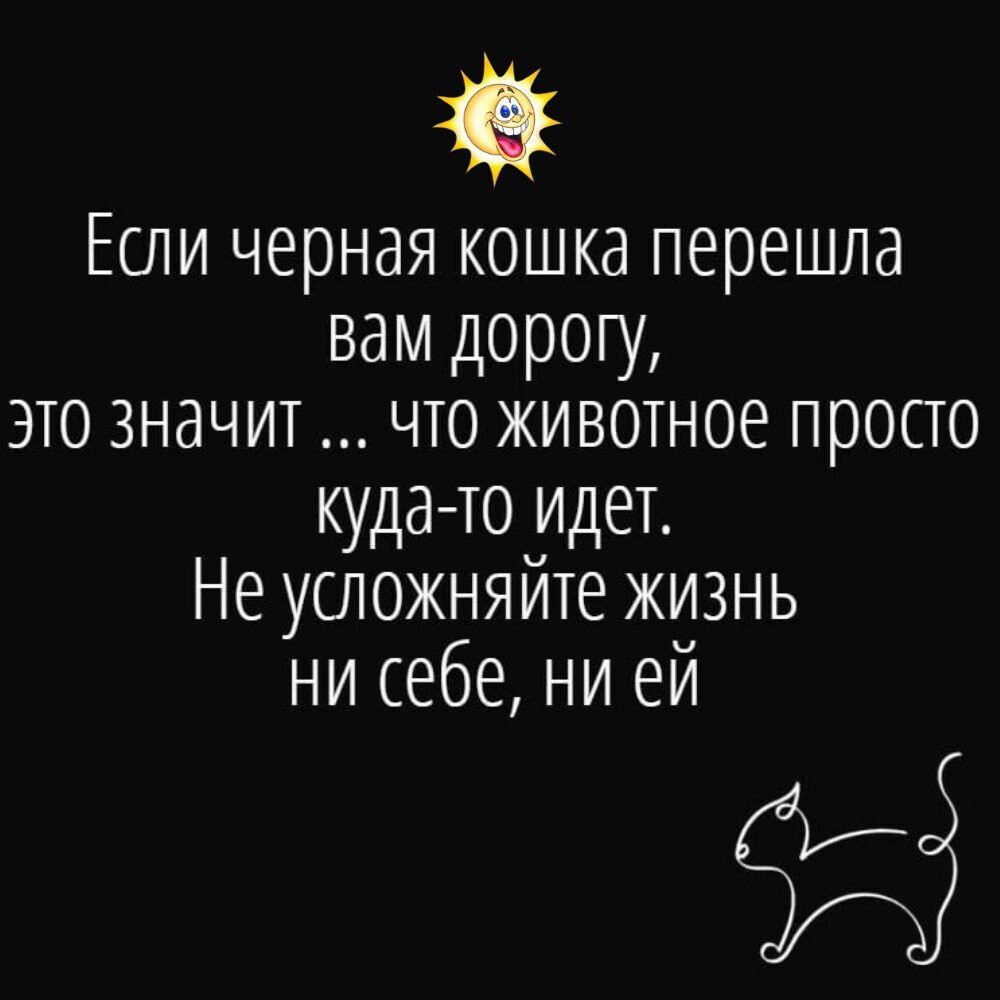 Если черная кошка перешла вам дорогу это значит что животное просто куда то идеТ Не усложняйте жизнь ни себе ни ей