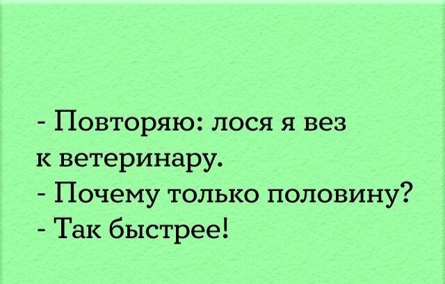 Повторяю лося я вез к ветеринару Почему только половину Так быстрее