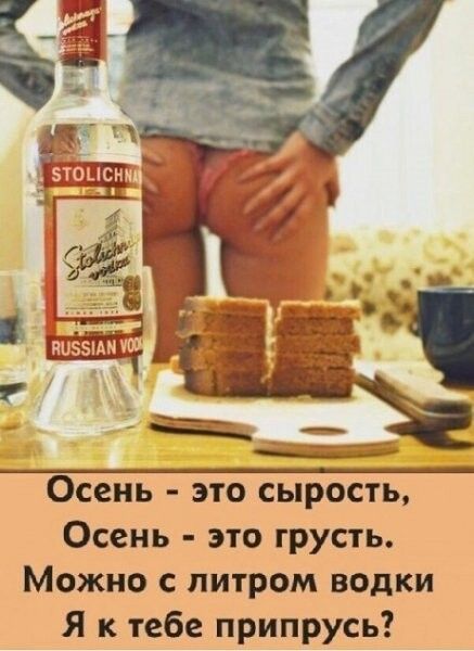 Осень это сырость Осень это грусть Можно с литром водки Я к тебе припрусь