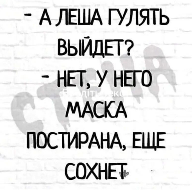 А ЛЕША гулять ВЫЙДЕТ нп у НЕГО МАСКА ПОСТИРАНА ЕЩЕ сохна