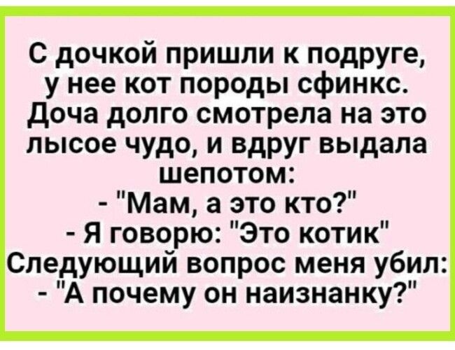 с дочкой пришли к подруге у нее кот породы сфинкс доча долго смотрела на это лысое чудо и вдруг выдала шепотом Мам а это кто Я говорю Это котик Следующий вопрос меня убил А почему он наизнанку