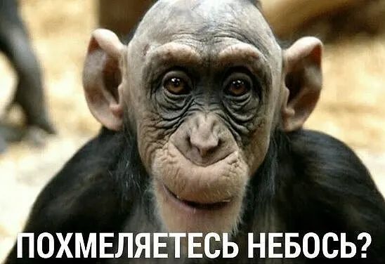 ОХМЕЛЯЁТЕСЬ НЕБОСЬ