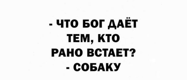 что БОГ дАЁт тем кто РАНО ВСТАЕТ совАку