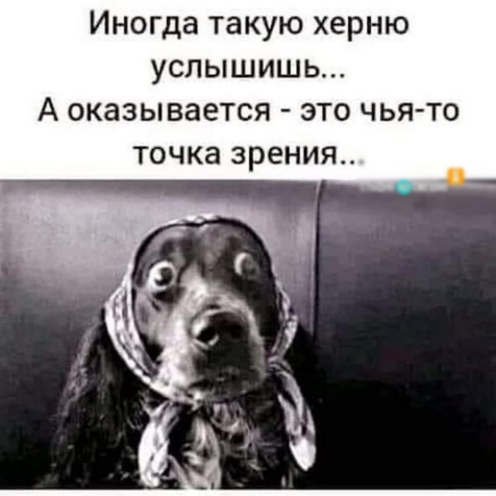 Иногда такую херню услышишь А оказывается это чья то точка зрения