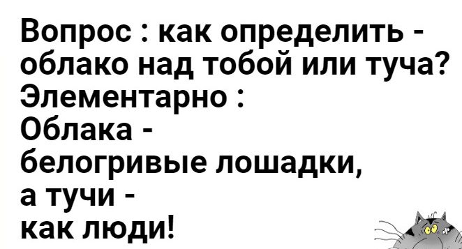 Вопрос как определить облако над тобой или туча Элементарно Облака белогривые лошадки а тучи как люди