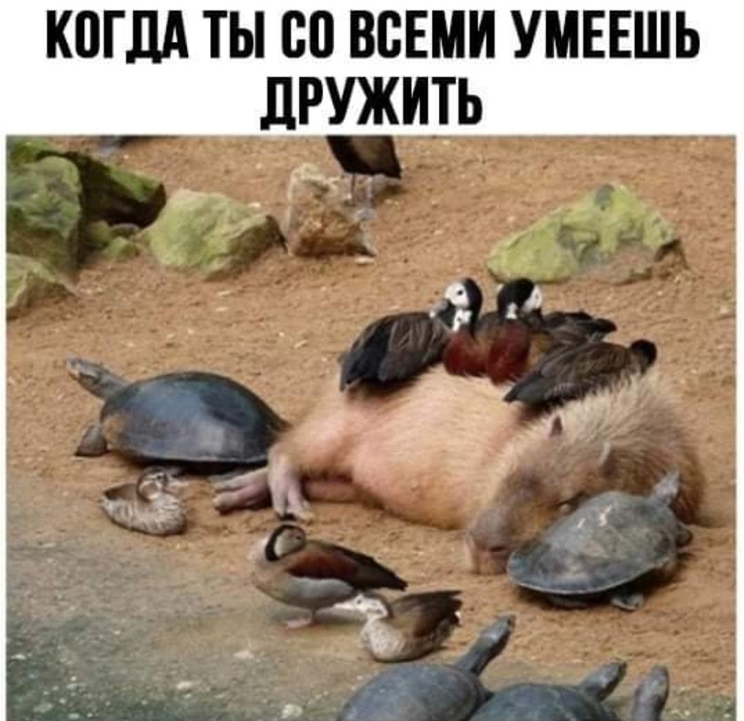 когдА ты со всеми умнъшь дружить в _ _ _ _ Р и у 1