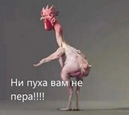 Ни пуха ва _не пера
