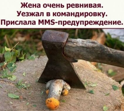 Жена очень ревнивая Уезжап в командировку Прислала ММЗпредупреждение