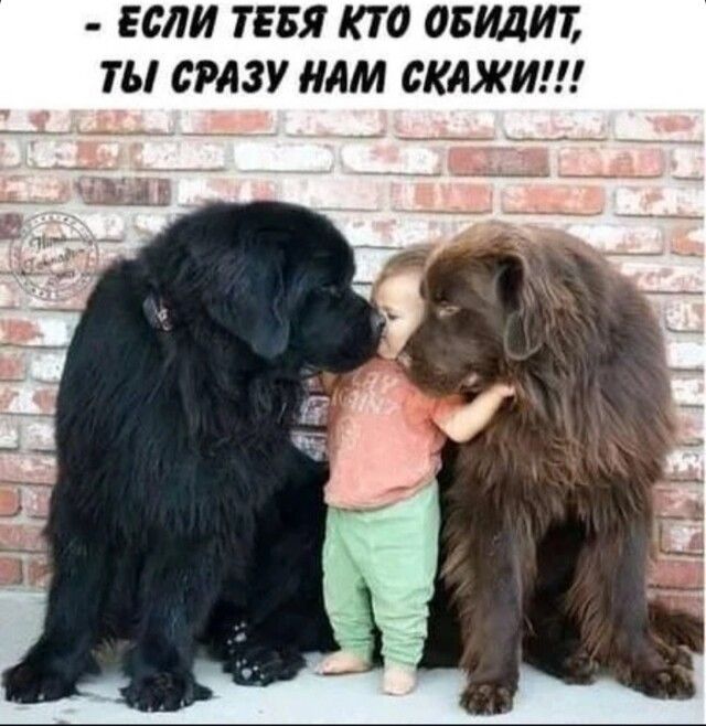 ЕСЛИ ТЕБЯ КТО ОБИДИЪ ТЫ СРАЗУ НАМ СКАЖИ
