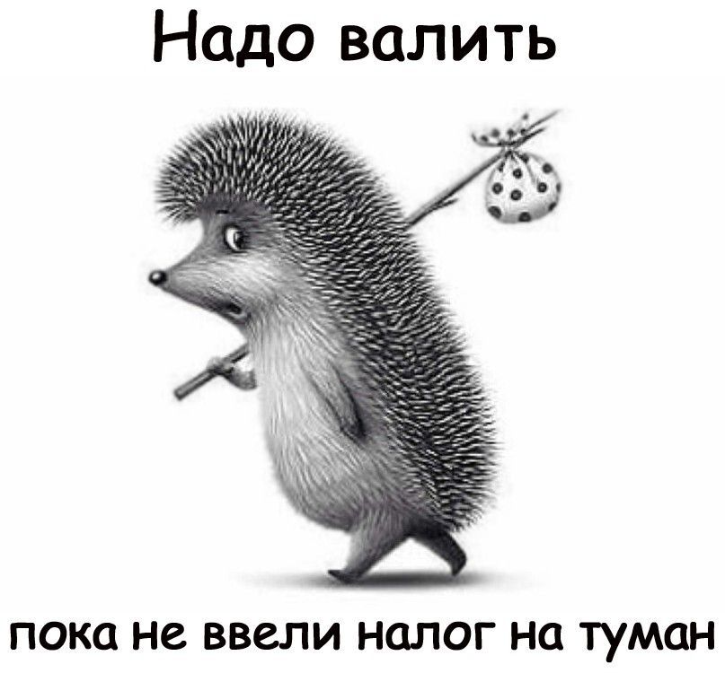 Надо валить пока не ввели НСШОГ НО туман