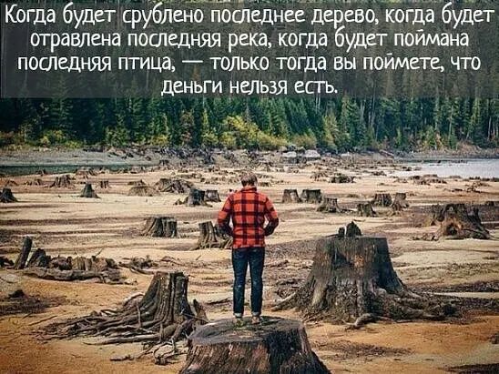 Когда будет срубЛено последнее д ев ко а будет огравлена последняя река когда удет поймана последняя птица только тогда вы поймете что деньги Нельзя есть