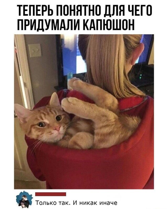 ТЕПЕРЬ ППНЯТНО ДЛЯ ЧЕГО ПРИДУМАЛИ КАПЮШОН
