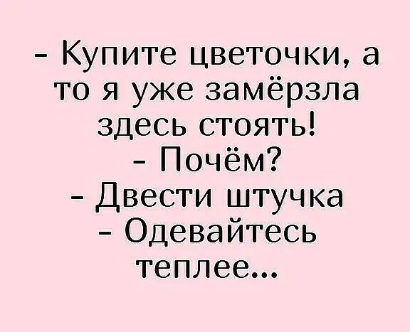 Купите цветочки а то я уже замёрзла здесь стоять Почём Двести штучка Одевайтесь теплее