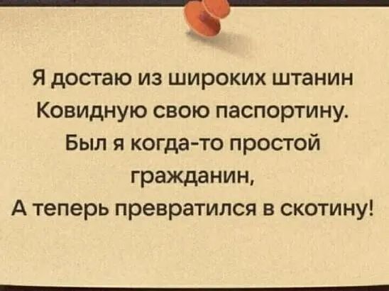 _С Я достаю из широких штанин Ковидную свою паспортину Был я когдато простой гражданин А теперь превратился в скотину