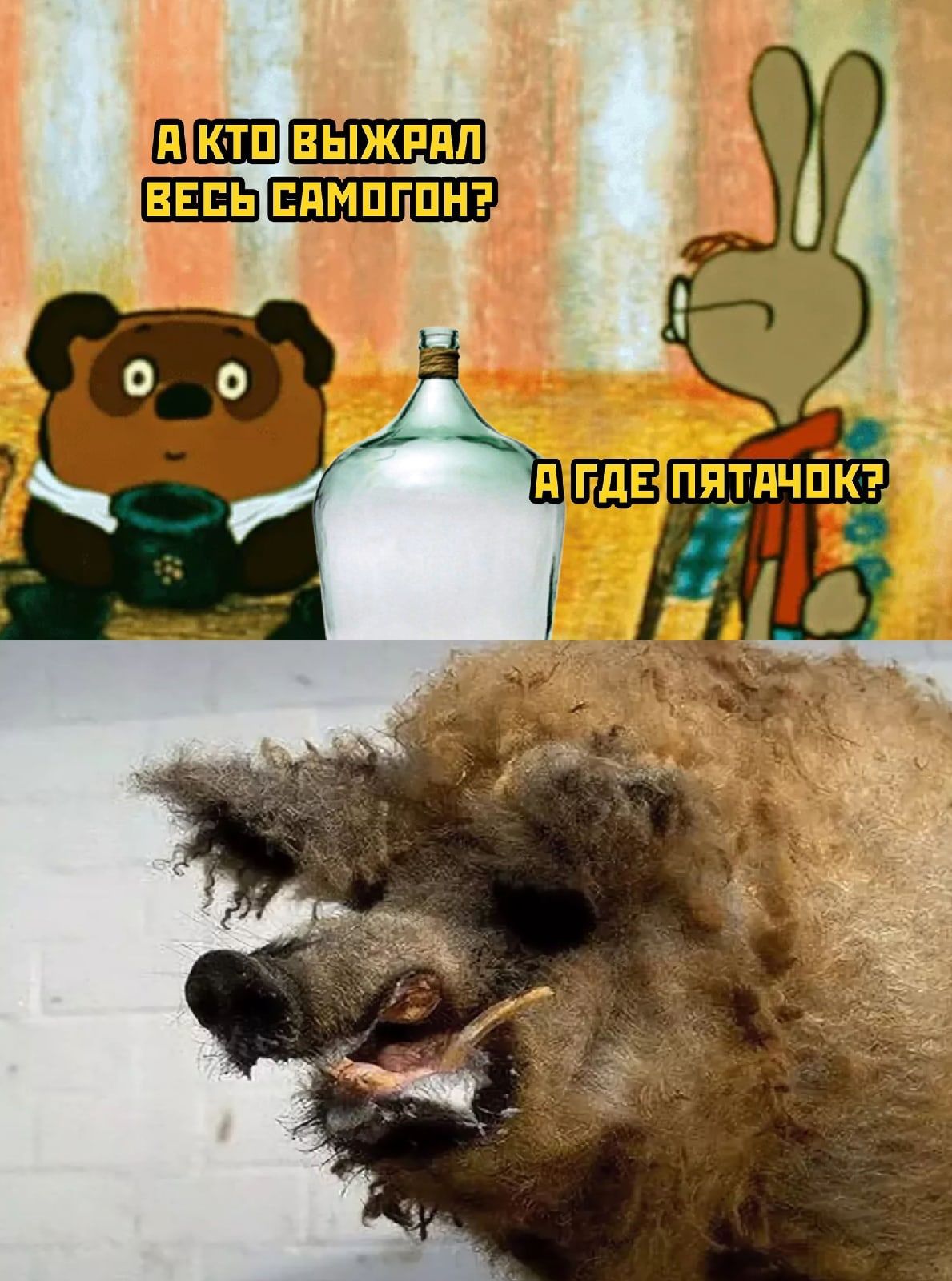 Е ВЫЖРПЛ ЕПМПГПН