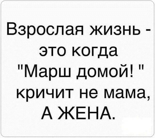 Взрослая жизнь это когда Марш домой кричит не мама А ЖЕНА