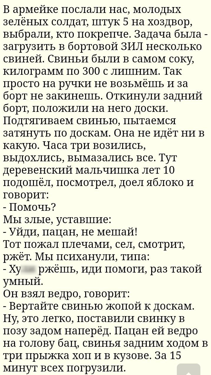 В армейке послали нас молодых зелёных солдат штук 5 на хоздвор выбрали кто покрепче Задача была загрузить в бортовой ЗИЛ несколько свиней Свиньи были в самом соку килограмм по 300 с лишним Так просто на ручки не возьмёшь и за борт не закинешь Откинули задний борт положили на него доски Подтягиваем свинью пытаемся затянуть по доскам Она не идёт ни в какую Часа три возились выдохлись вымазались все 