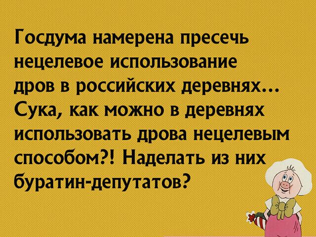 Госдума намерена пресечь нецелевое использование дров в российских деревнях Сука как можно в деревнях использовать дрова нецелевым способом Наделать из них бурами депутатов