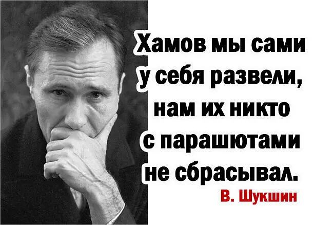 Мы не перед кем не обязаны у нас есть одна обязанность быть счастливыми