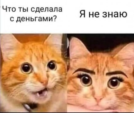 Что ты сделала с деньгами Я не знаю