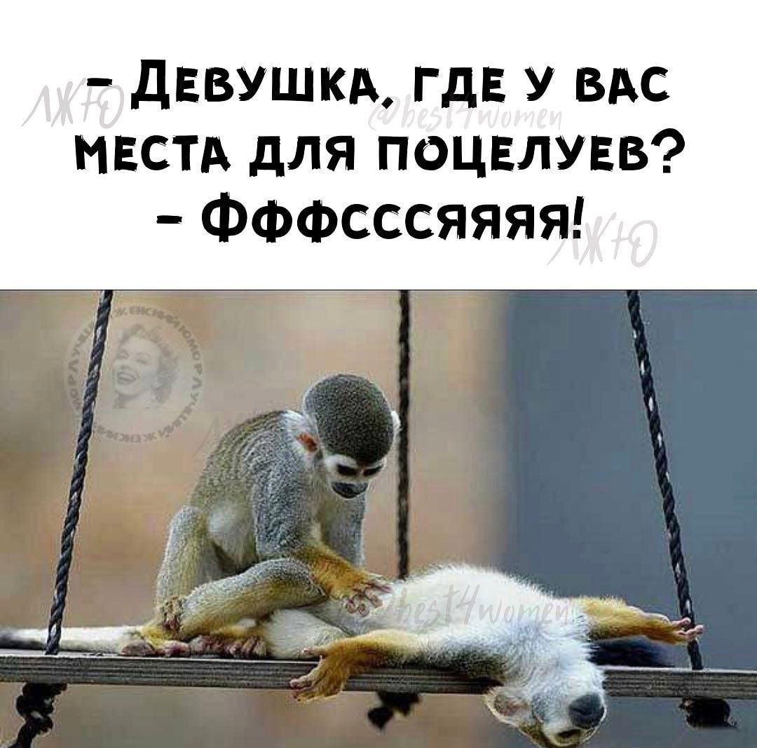 ДЕВУШКА ГДЕ У вм МЕСТА для поцвлувв Фффсссяяяя