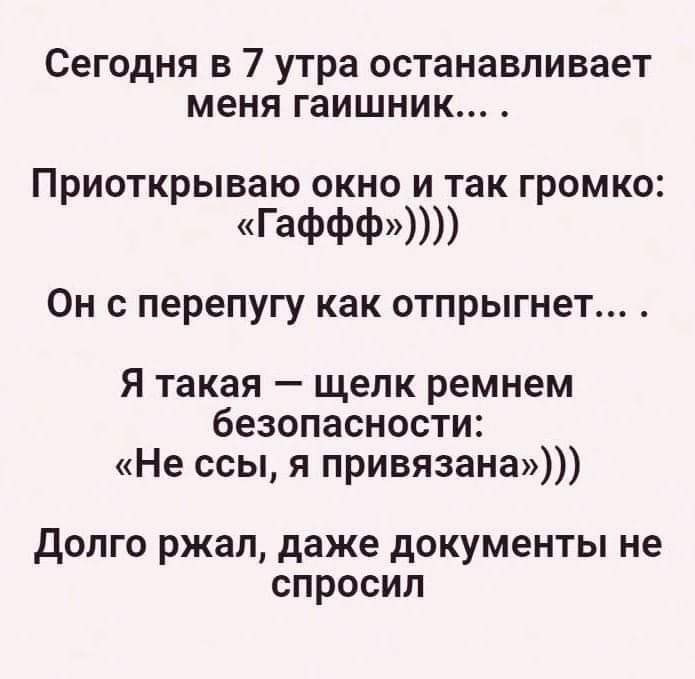 Сегодня в 7 утра останавливает меня гаишник Приоткрываю ОКНО И так ГРОМКО Гаффф Он с перепугу как отпрыгнет Я такая щелк ремнем безопасности Не ссы я привязана дОЛГО ржал даже документы не СПРОСИЛ