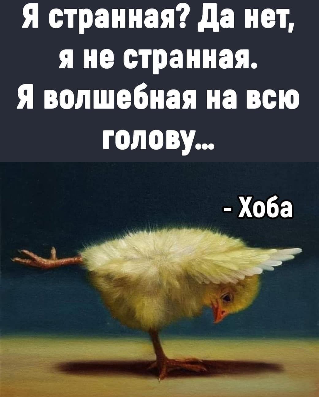 я странная да нет я не странная я волшебная на всю голову Хоба