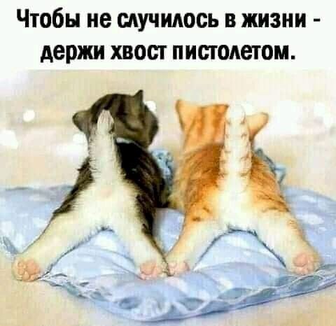 Чтобы не мучидось в жизни держи хвост пистолетом
